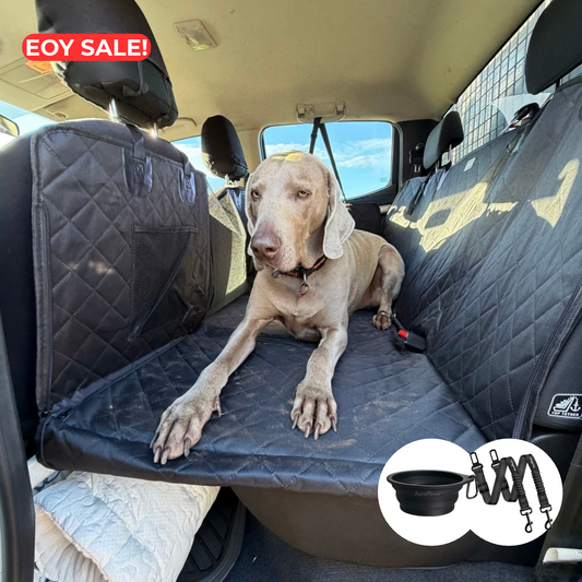K9 Cruiser Bundle